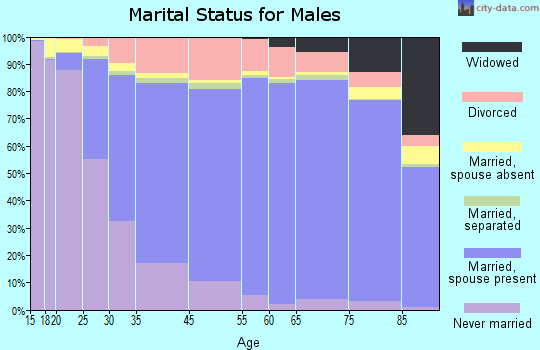 Dunn County marital status for males
