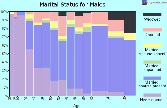 Jim Wells County marital status for males