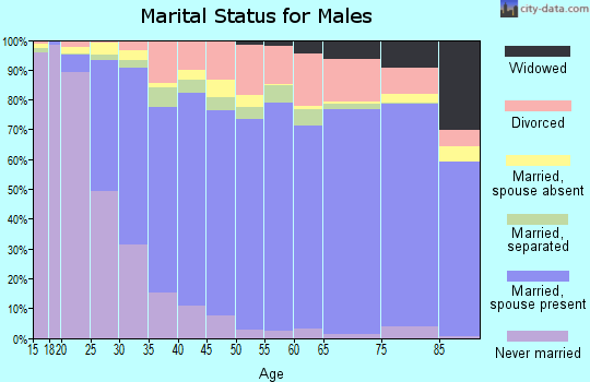 Kaufman County marital status for males