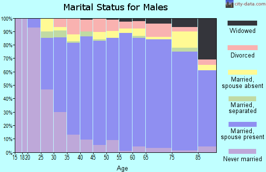 Kendall County marital status for males