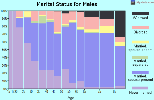 Kerr County marital status for males