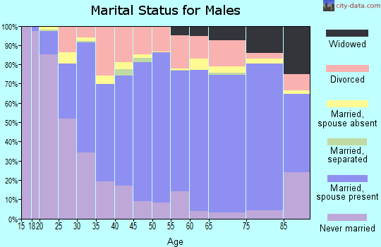 Lamar County marital status for males