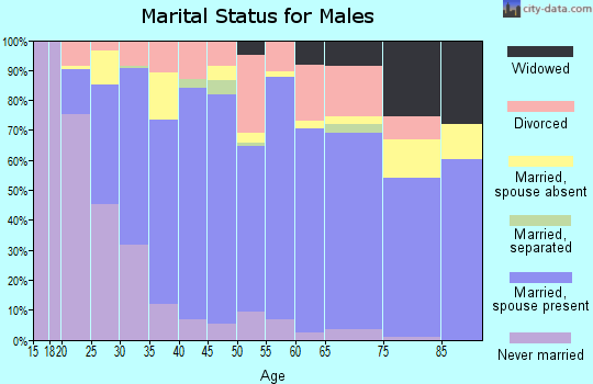 Lampasas County marital status for males