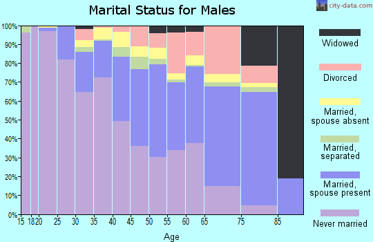Yukon-Koyukuk Census Area marital status for males