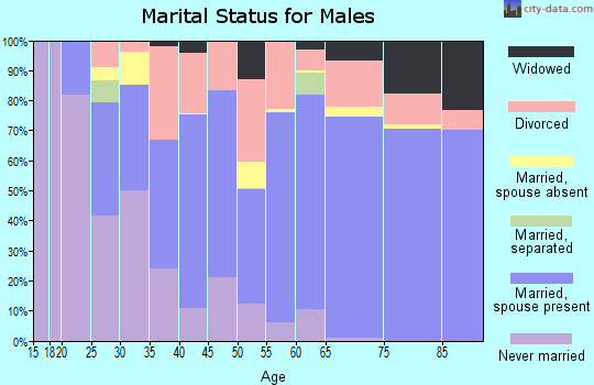 Llano County marital status for males