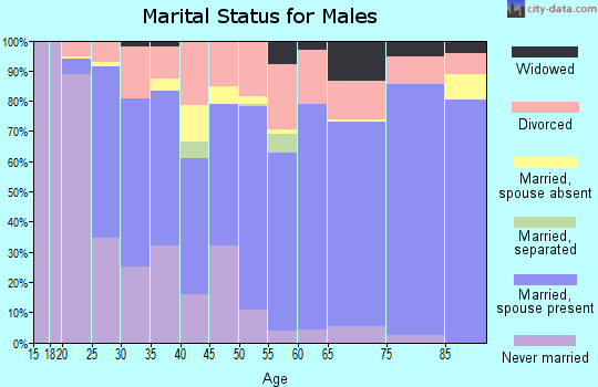 Nolan County marital status for males