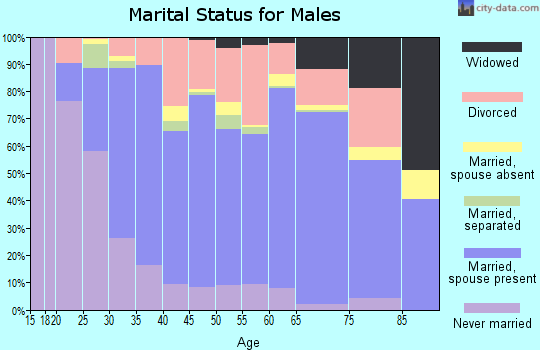 Palo Pinto County marital status for males