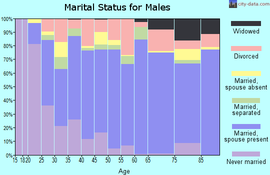 Panola County marital status for males