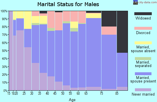 Parmer County marital status for males