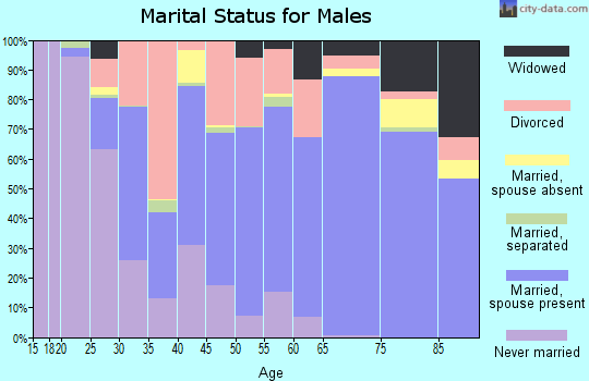 Rains County marital status for males