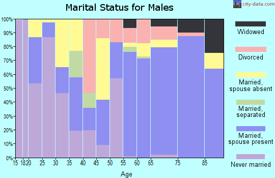 Real County marital status for males