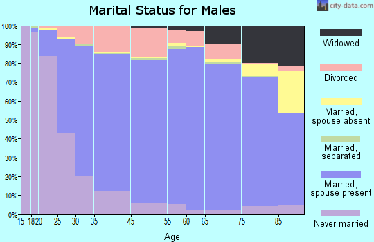 DeSoto County marital status for males