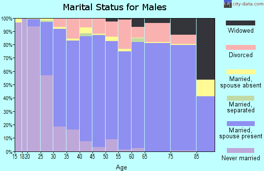 Rockwall County marital status for males