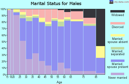 San Patricio County marital status for males