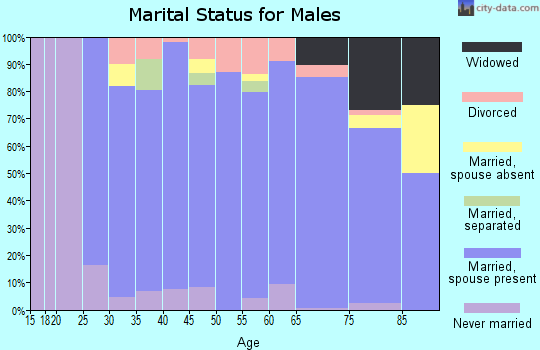 Somervell County marital status for males