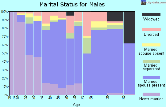 Starr County marital status for males