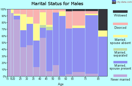 Swisher County marital status for males