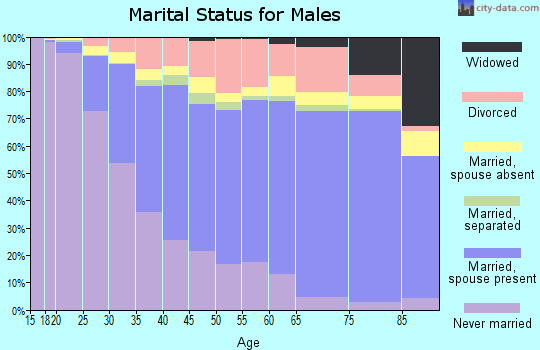 Travis County marital status for males