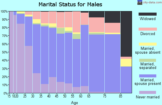 Van Zandt County marital status for males