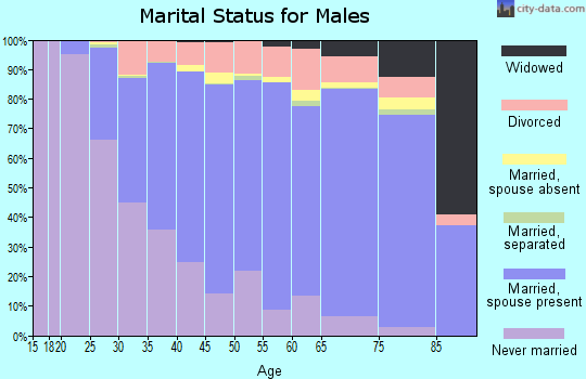 Blue Earth County marital status for males