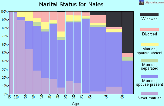 Webb County marital status for males