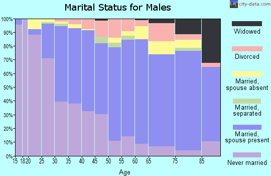 Fairfax city marital status for males