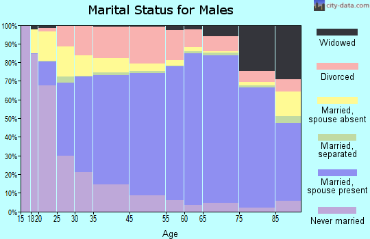 Fergus County marital status for males