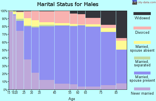 Pershing County marital status for males