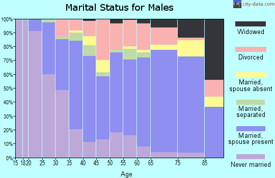 Salem city marital status for males
