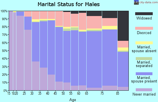 Merrimack County marital status for males