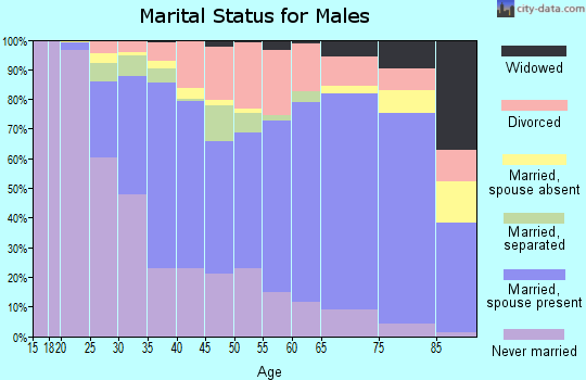 Chautauqua County marital status for males