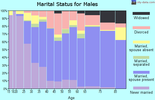 Beaufort County marital status for males