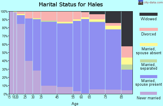 Clay County marital status for males