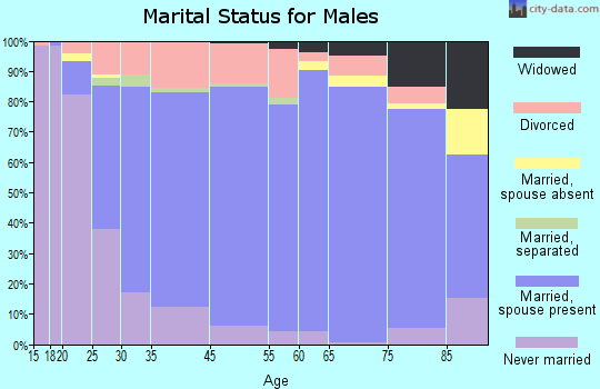 Burke County marital status for males