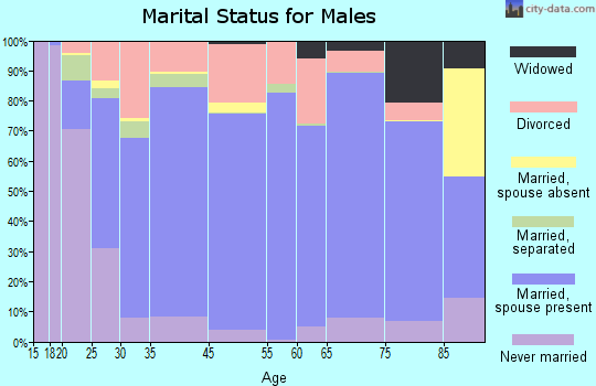 Millard County marital status for males