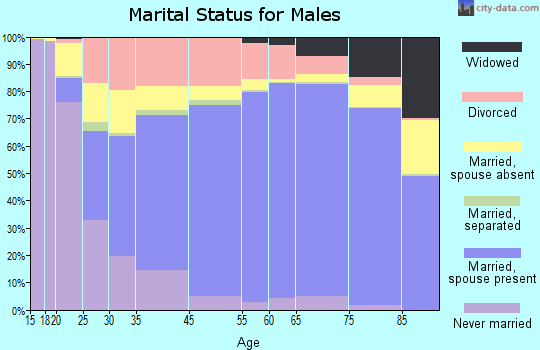 Hampshire County marital status for males