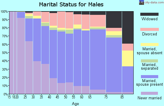 Blair County marital status for males