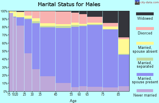 Los Alamos County marital status for males