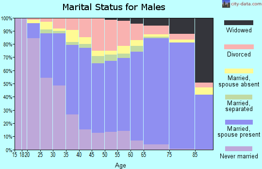 Beaufort County marital status for males