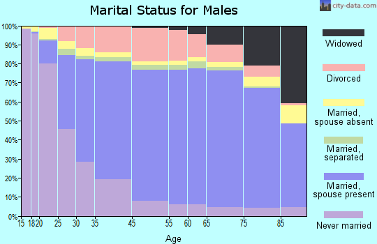 Cass County marital status for males