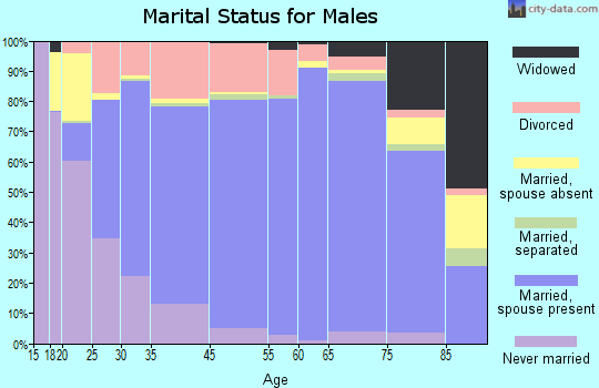 Storey County marital status for males