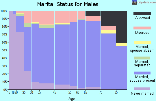 Luna County marital status for males