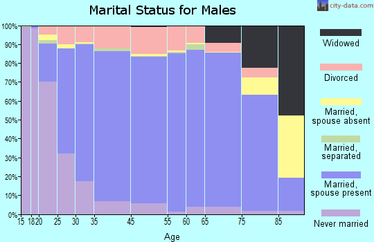 Morgan County marital status for males
