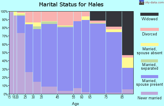 Island County marital status for males