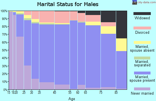 Craighead County marital status for males