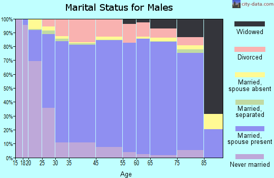 Denver County marital status for males