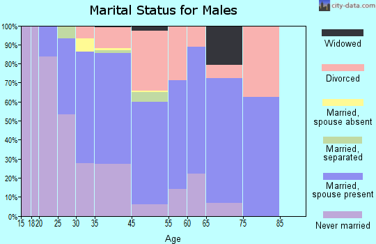 Anoka County marital status for males