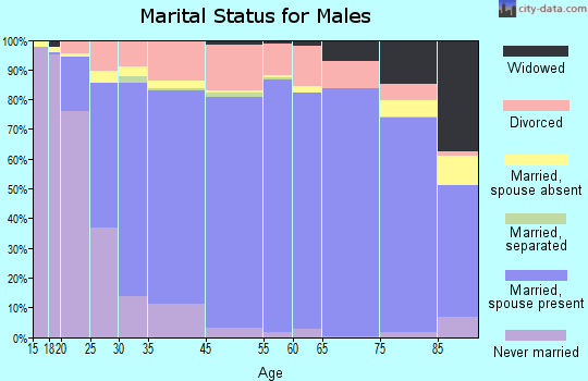 York County marital status for males