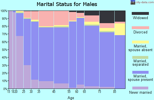 Cheboygan County marital status for males