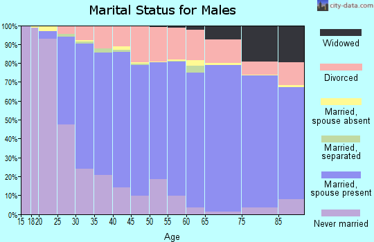 Barry County marital status for males